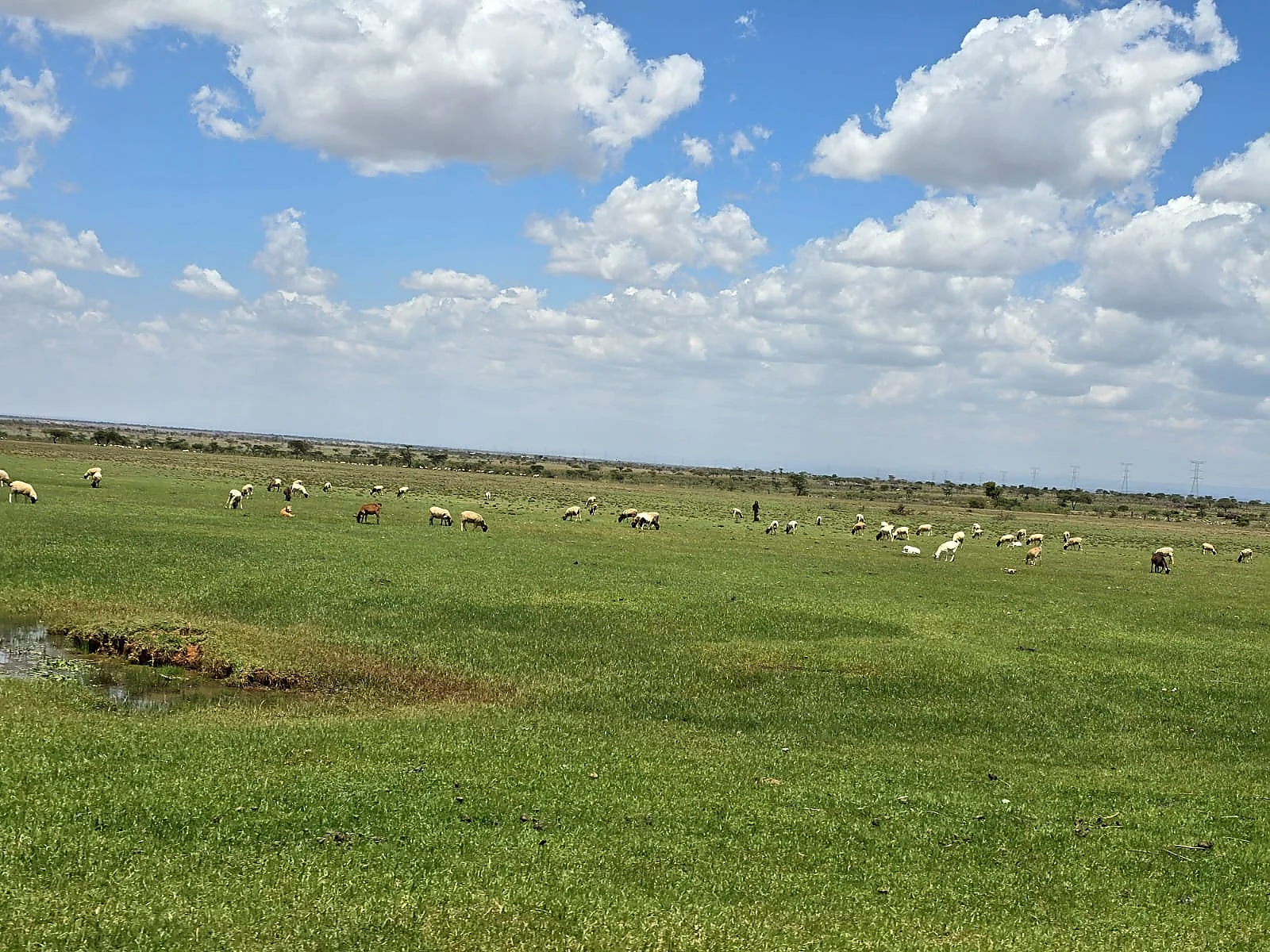 Land plots