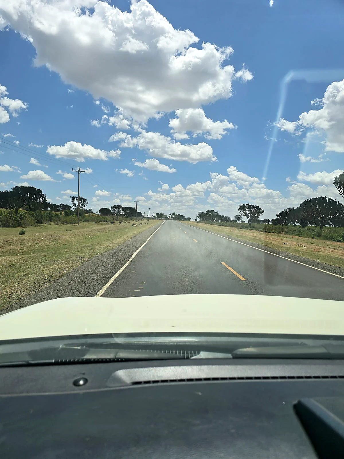 Accessible road beside land plots