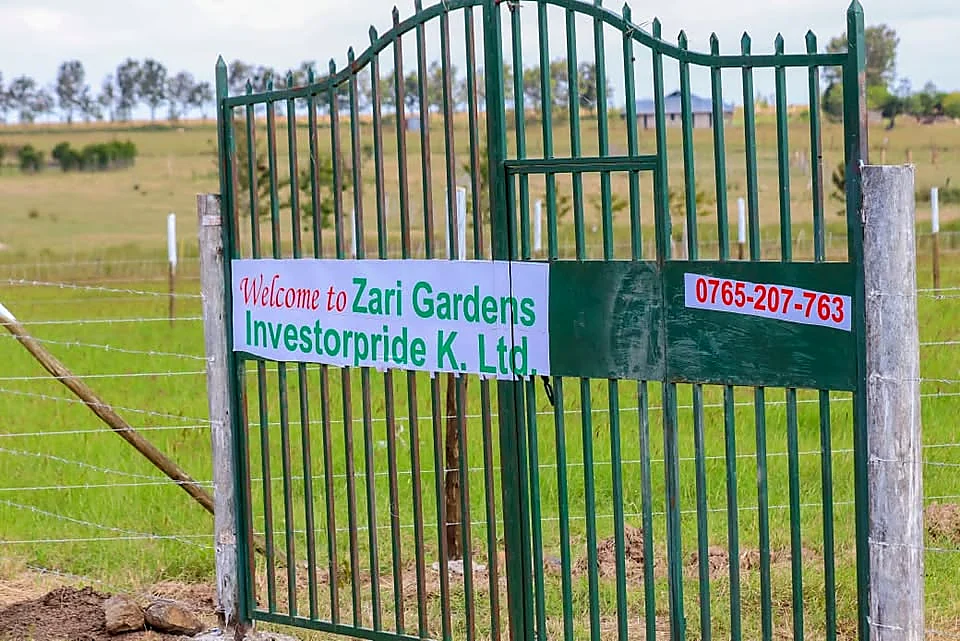 Green land and developed surroundings